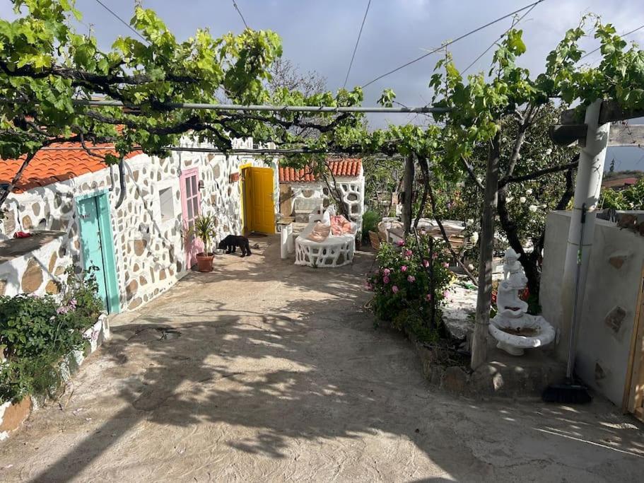 Lilly'S Finca - Romantischter Rueckzugsort - Pool Vilaflor Exterior photo