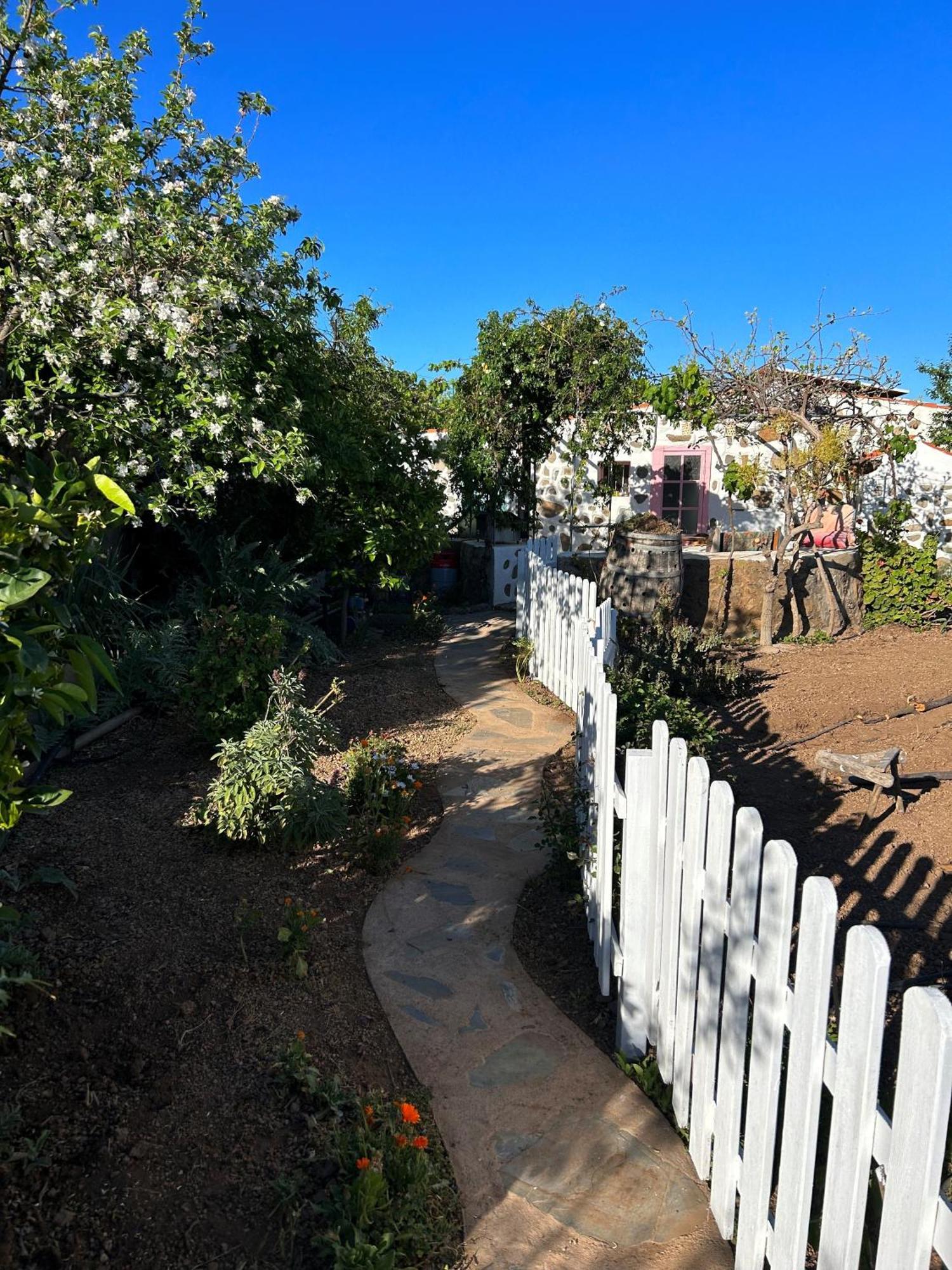 Lilly'S Finca - Romantischter Rueckzugsort - Pool Vilaflor Exterior photo